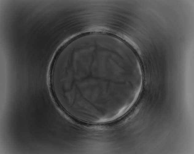 X0000092011037200710041022