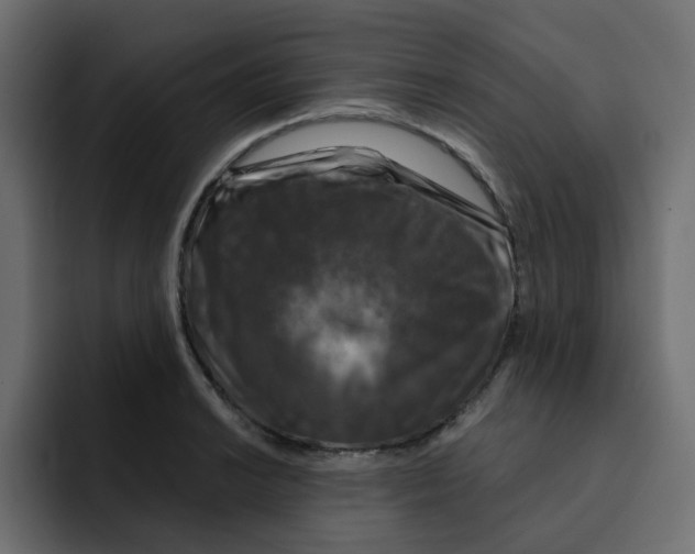 X0000092011038200710041022