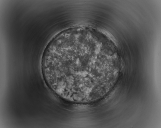 X0000092011039200710041022