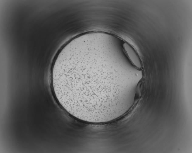 X0000092011040200710041022