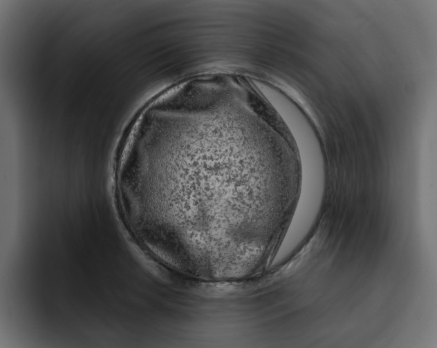 X0000092011042200710041022