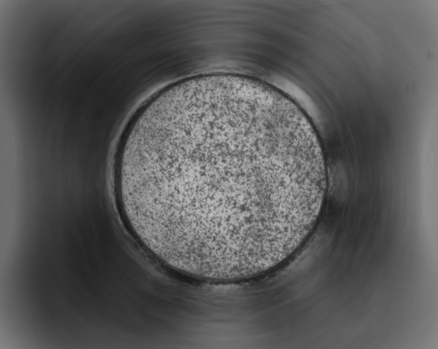 X0000092011043200710041022