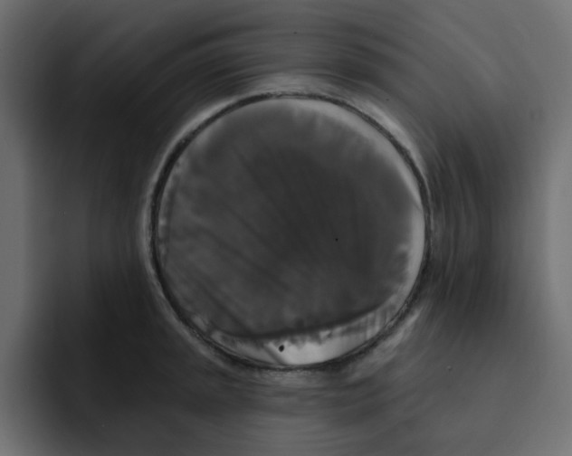 X0000092011045200710041022