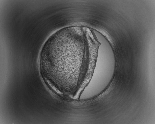 X0000092011046200710041022