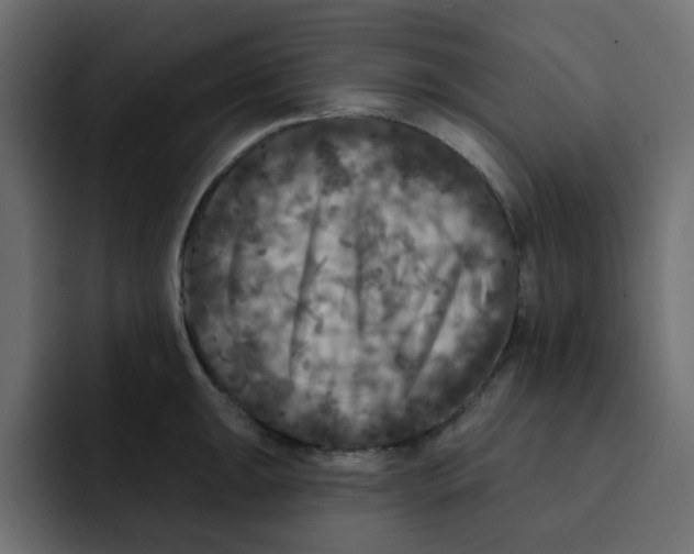 X0000092011047200710041022