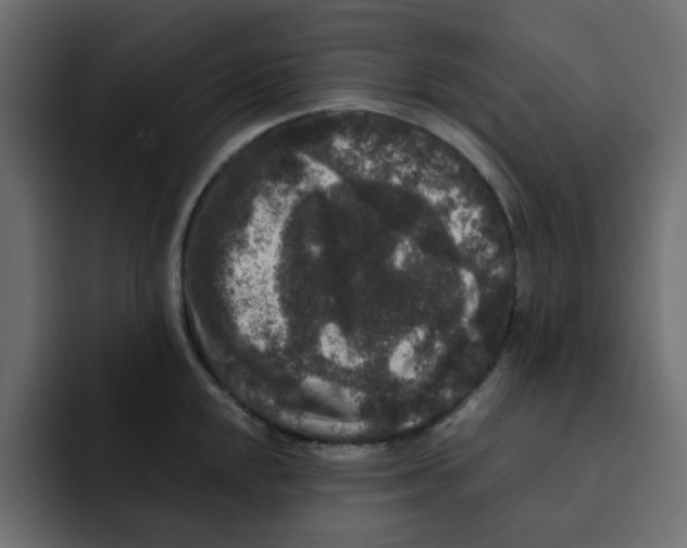 X0000092011048200710041022
