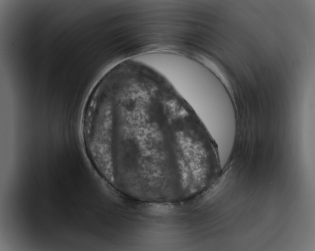 X0000092011050200710041022