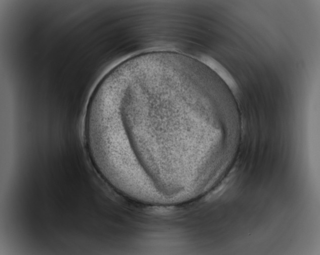 X0000092011052200710041022
