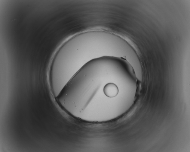 X0000092011054200710041022