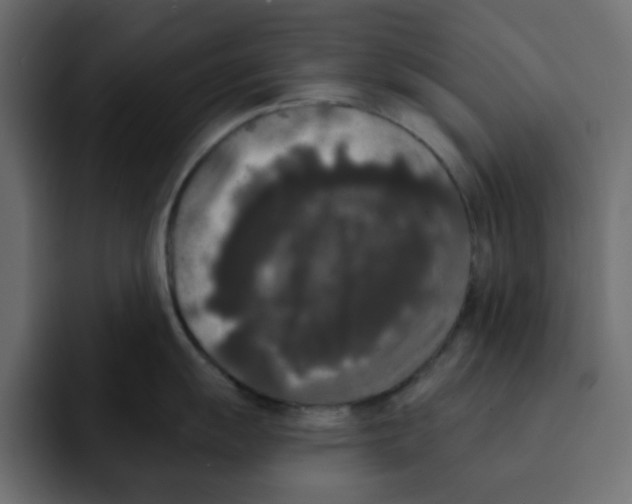 X0000092011055200710041022