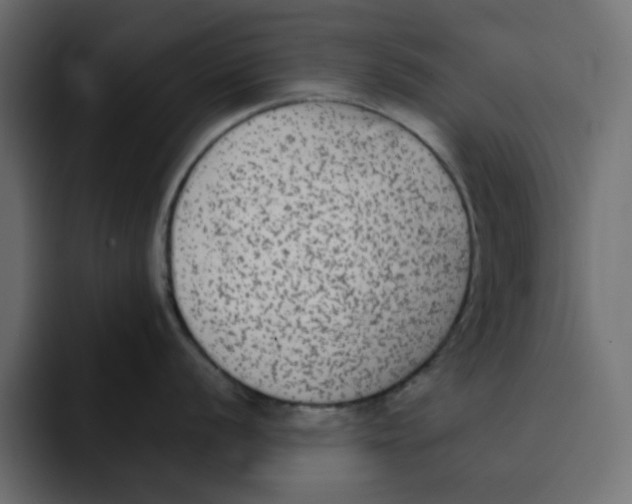 X0000092011056200710041022