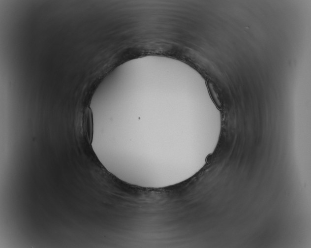 X0000092011058200710041022