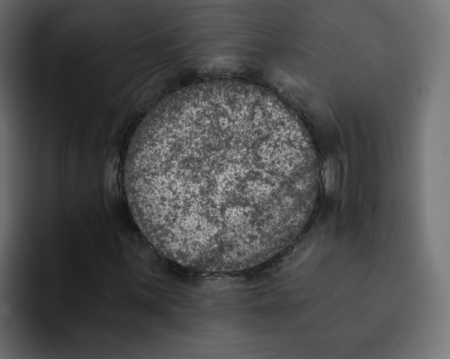 X0000092011059200710041021