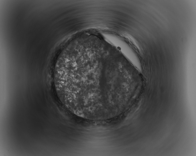 X0000092011064200710041021