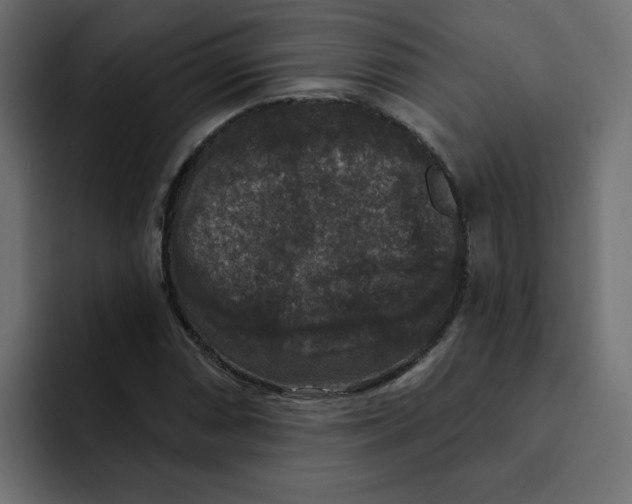 X0000092011066200710041021
