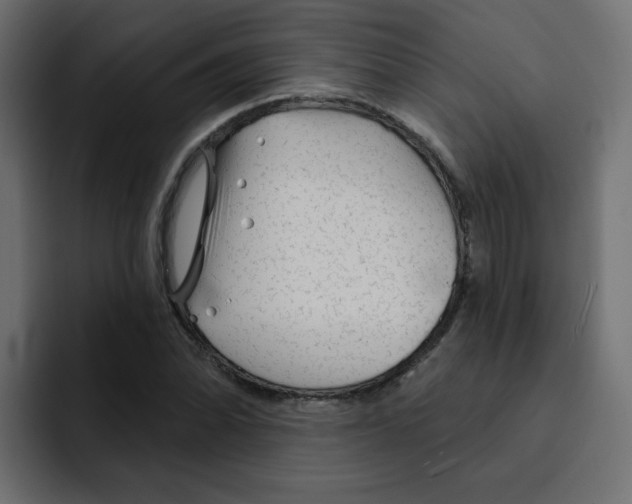 X0000092011070200710041021