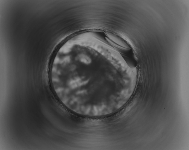 X0000092011071200710041021