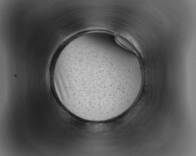 X0000092011072200710041021