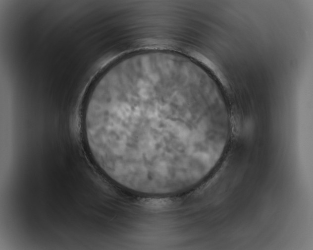 X0000092011074200710041021