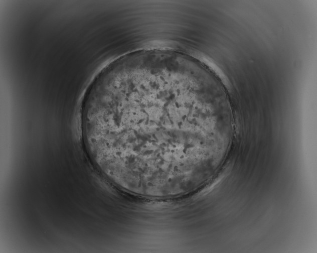 X0000092011075200710041021