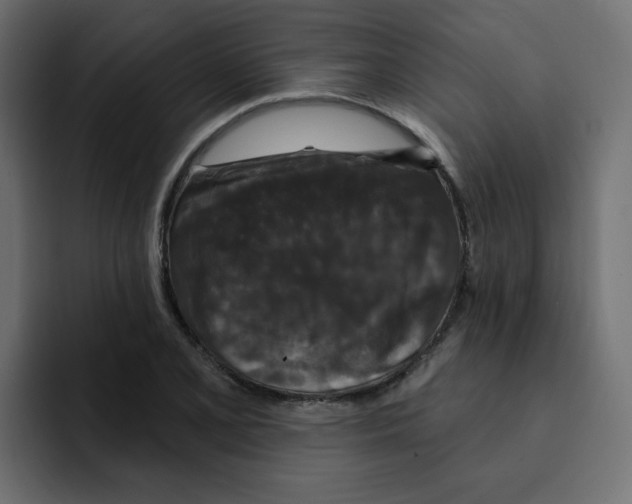 X0000092011077200710041021