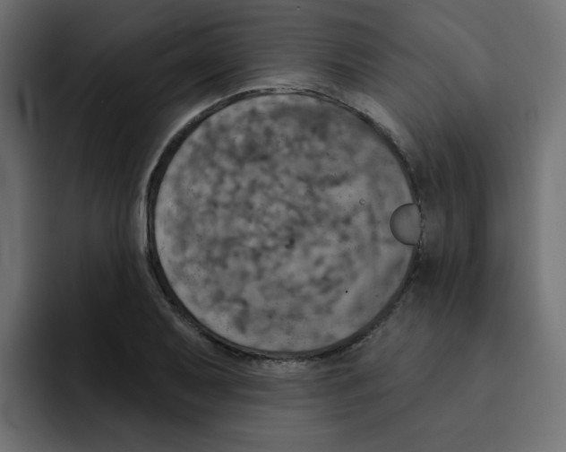 X0000092011079200710041021