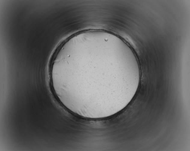 X0000092011080200710041021