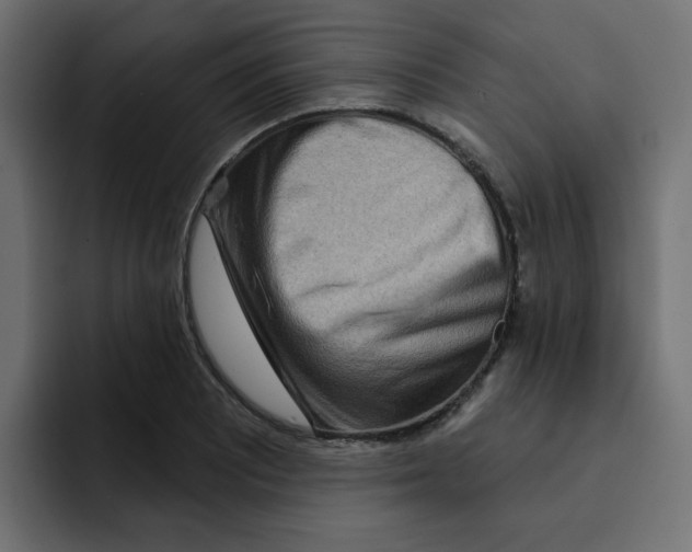 X0000092011081200710041021
