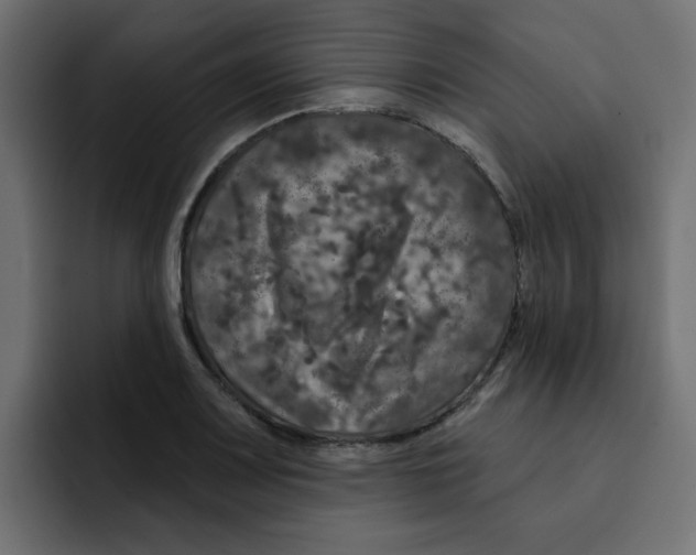 X0000092011083200710041021