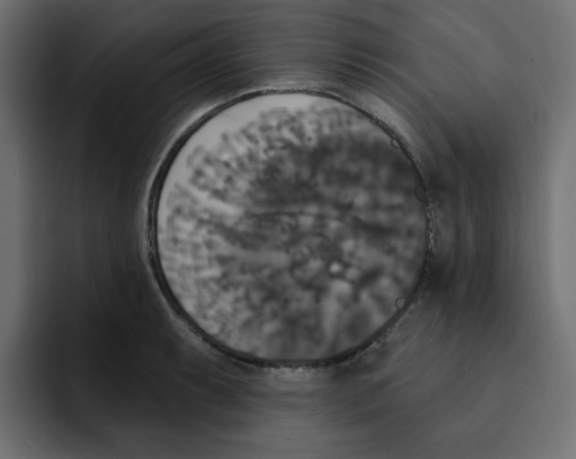 X0000092011087200710041021