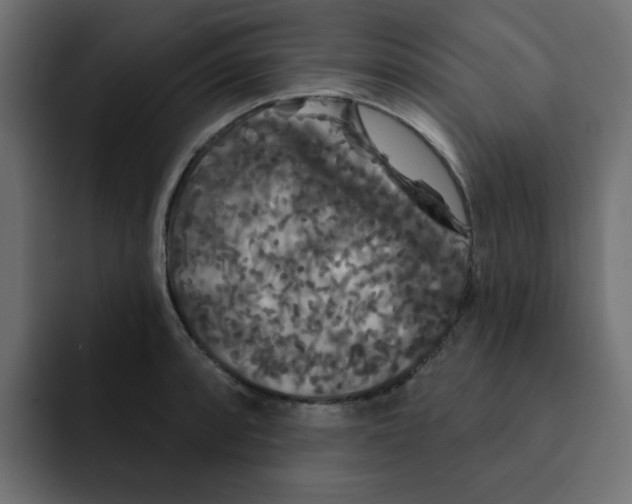 X0000092011088200710041021
