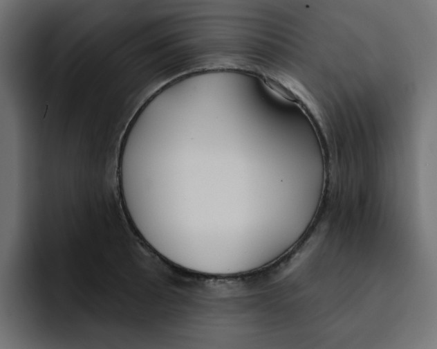 X0000092011089200710041021