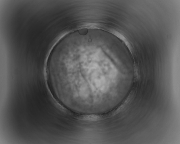 X0000092011090200710041021