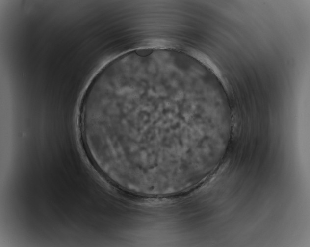 X0000092011091200710041021