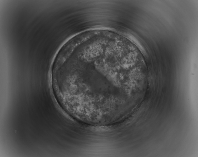 X0000092011092200710041021