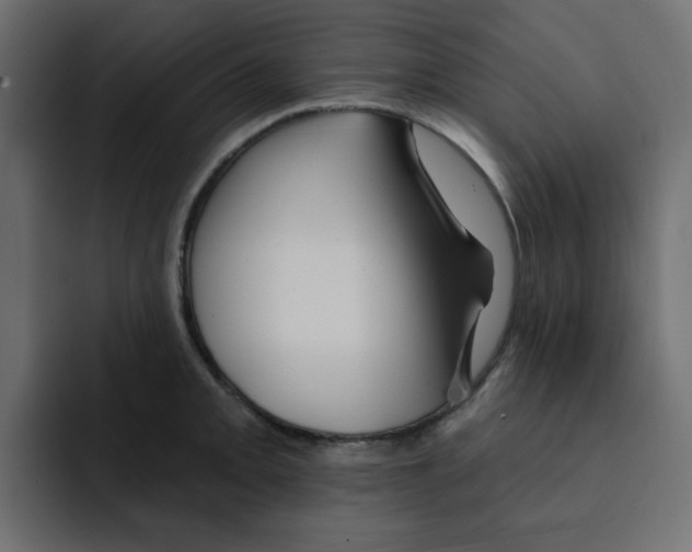 X0000092011093200710041021