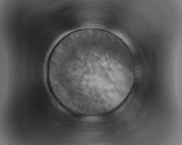 X0000092011094200710041021
