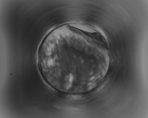 X0000092011095200710041021