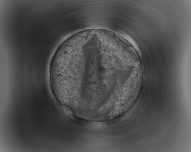 X0000092011096200710041021