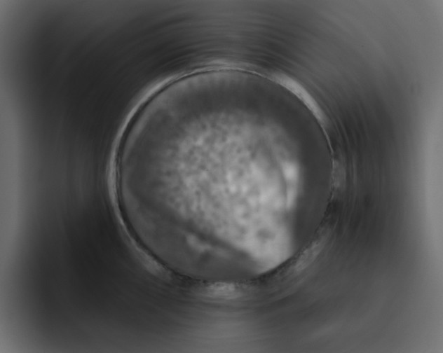 X0000092011098200710041021