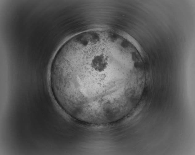 X0000092011099200710041021