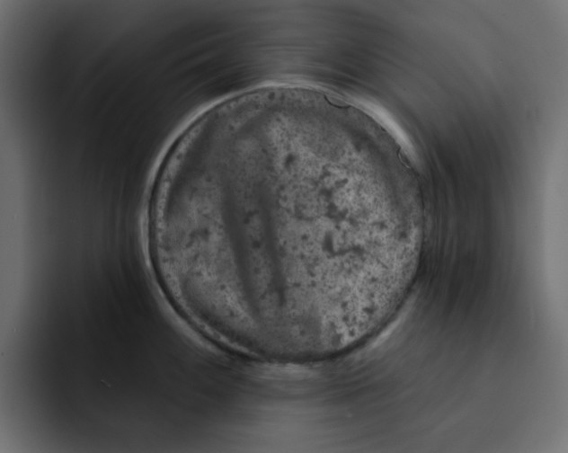 X0000092011100200710041021