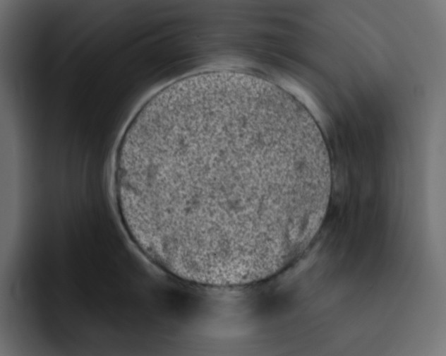 X0000092011103200710041021