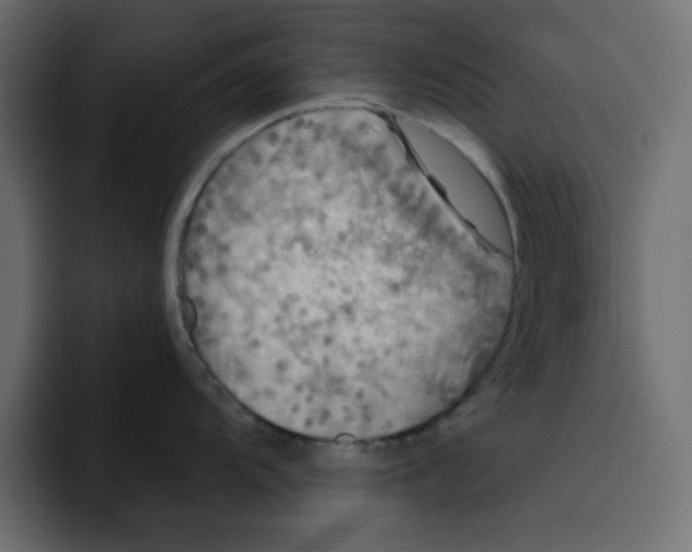 X0000092011104200710041021