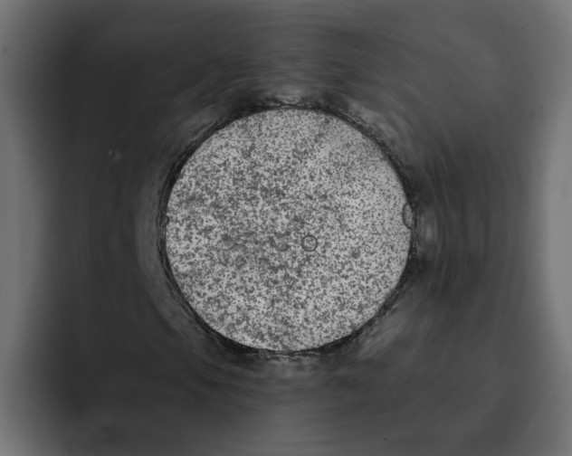 X0000092011105200710041020