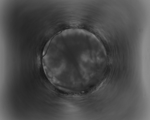 X0000092011106200710041020