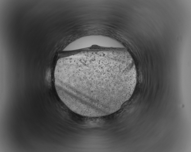 X0000092011108200710041020