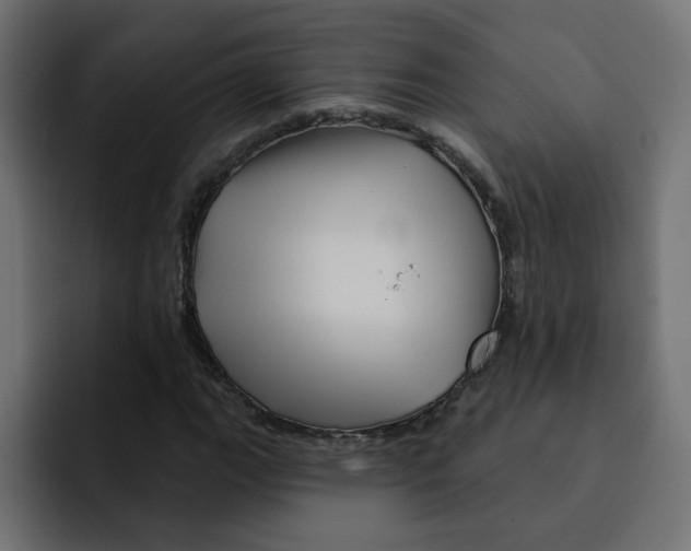 X0000092011111200710041020