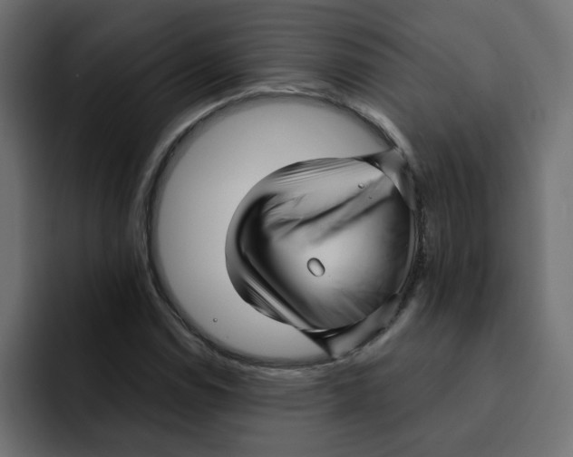 X0000092011114200710041020