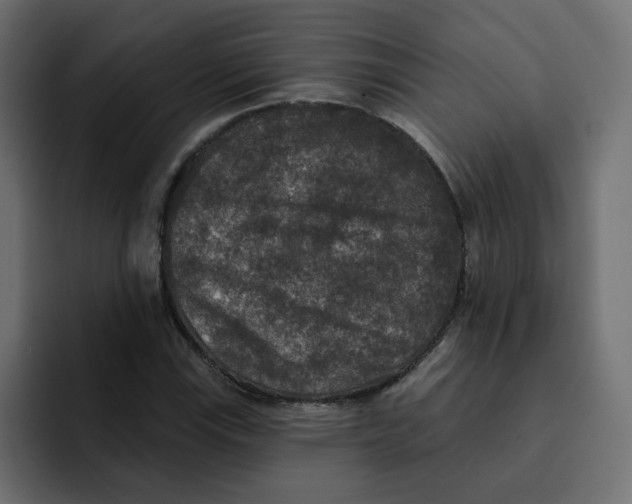 X0000092011115200710041020